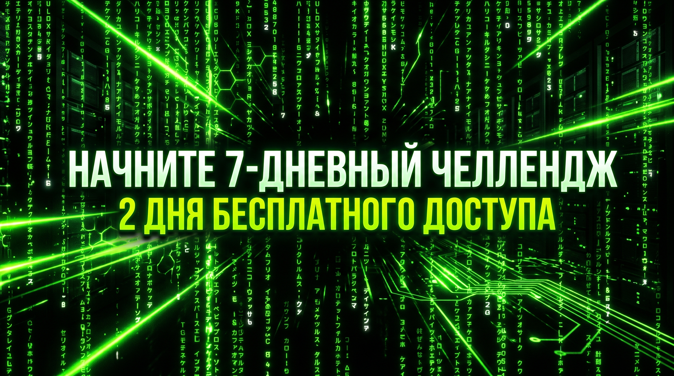 Начните 7‑дневный челлендж